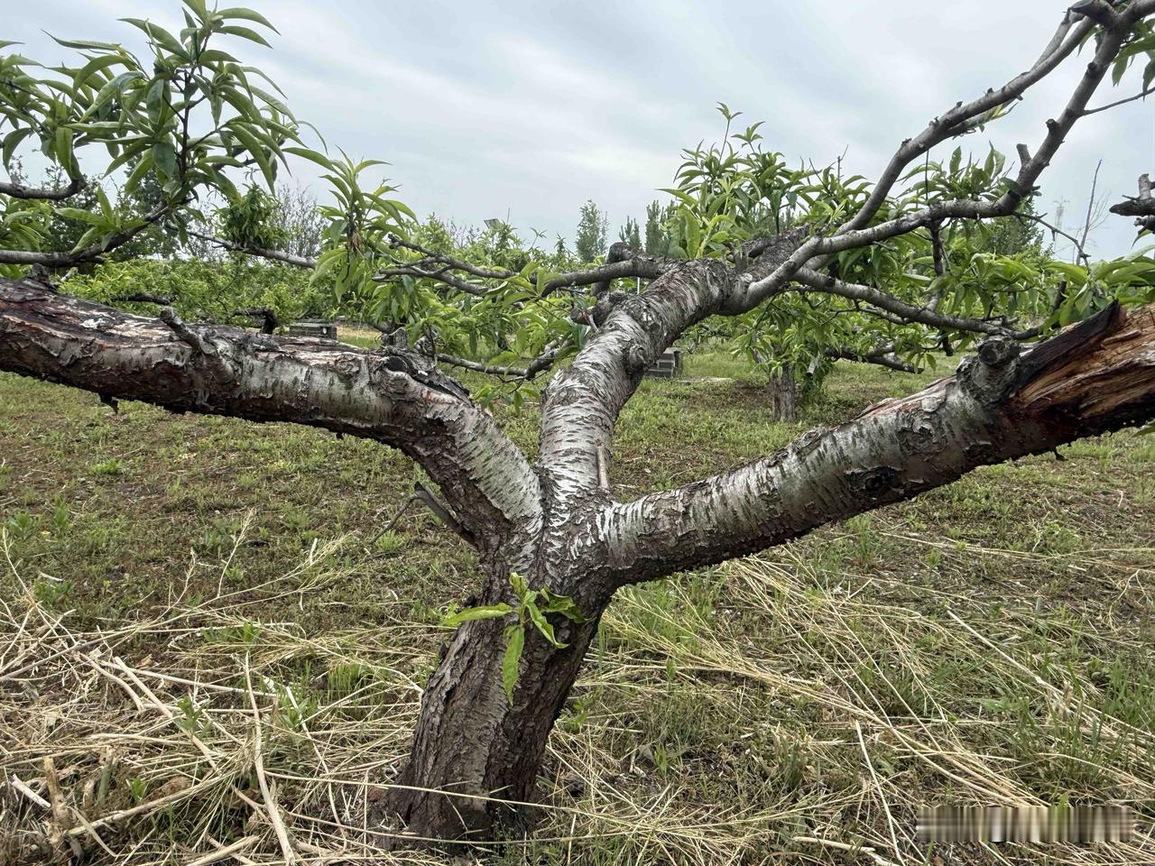 【小对联】
上：变法；
下：……？