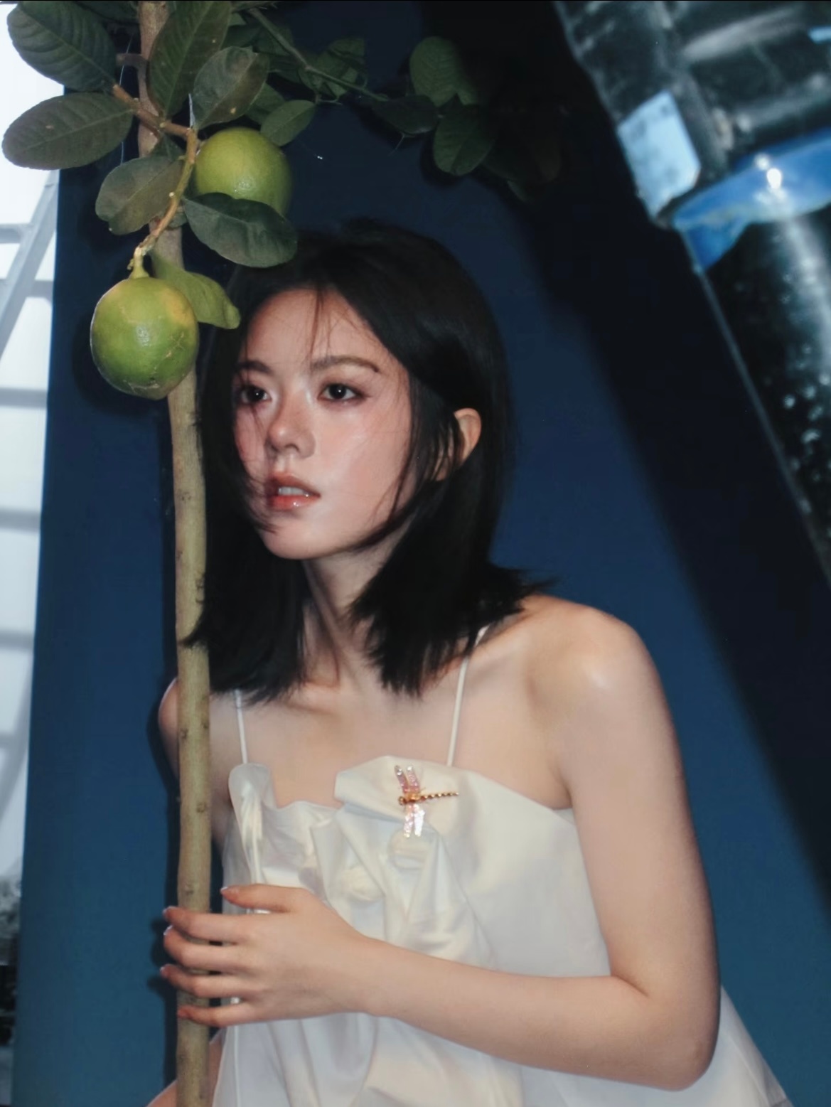 被赵今麦的蜻蜓配饰硬控30秒配饰好看，人也好看赵今麦