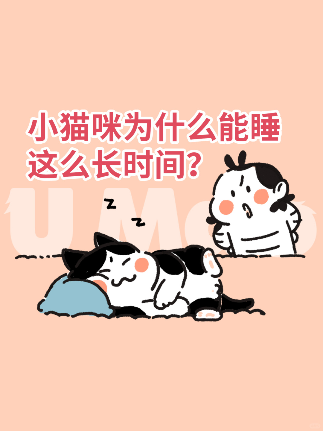 小猫咪为啥这么能睡？到底要睡多长时间？