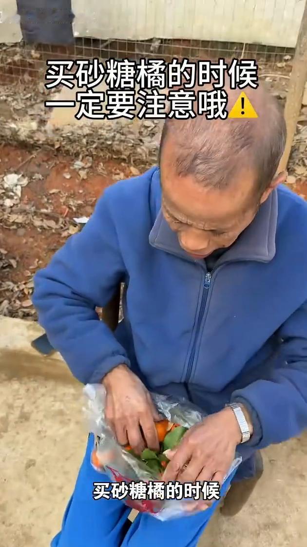 买砂糖橘的时候一定要注意。
像我爷爷买的这种才是真正的砂糖橘，给你们看一下。