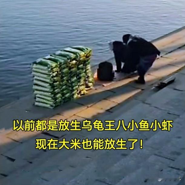 近日，辽宁丹东江边出现这样一幕：多人将袋装大米摆放在岸边，跪拜后竟把大米全部倒入