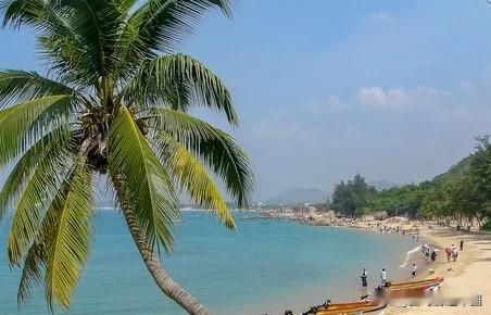 那些说XX地方比海南更适合康养避寒的视频满天飞，全是骗人的。
中国最适宜避寒、康