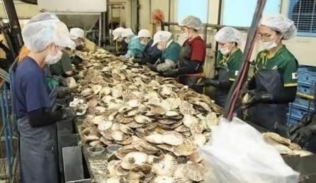 日本排放核水后，奇怪的事发生了：刚开始各国对海鲜避之不及，如今几年过去，核污染水
