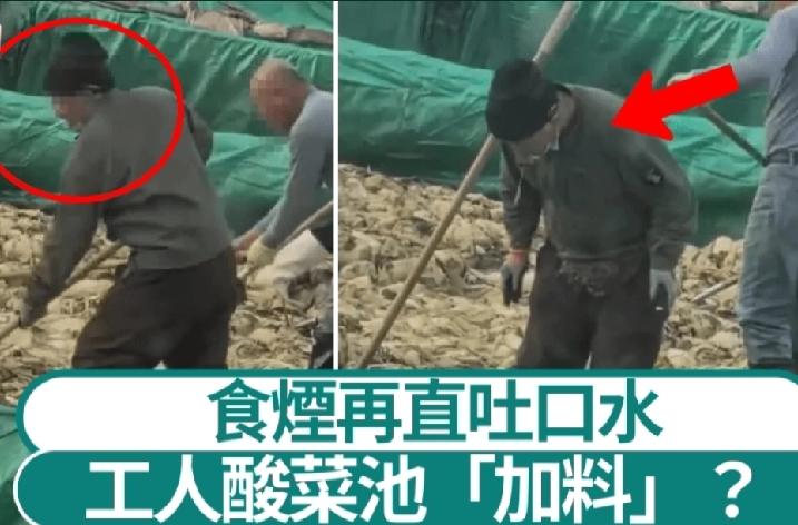 最近辽宁一酸菜工厂的偷拍片可把人恶心坏了。视频里，工人在酸菜池里一边用钢叉翻动酸