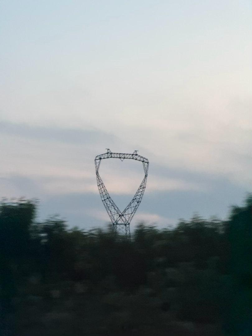 北京的柳絮，太难受了！ 北京