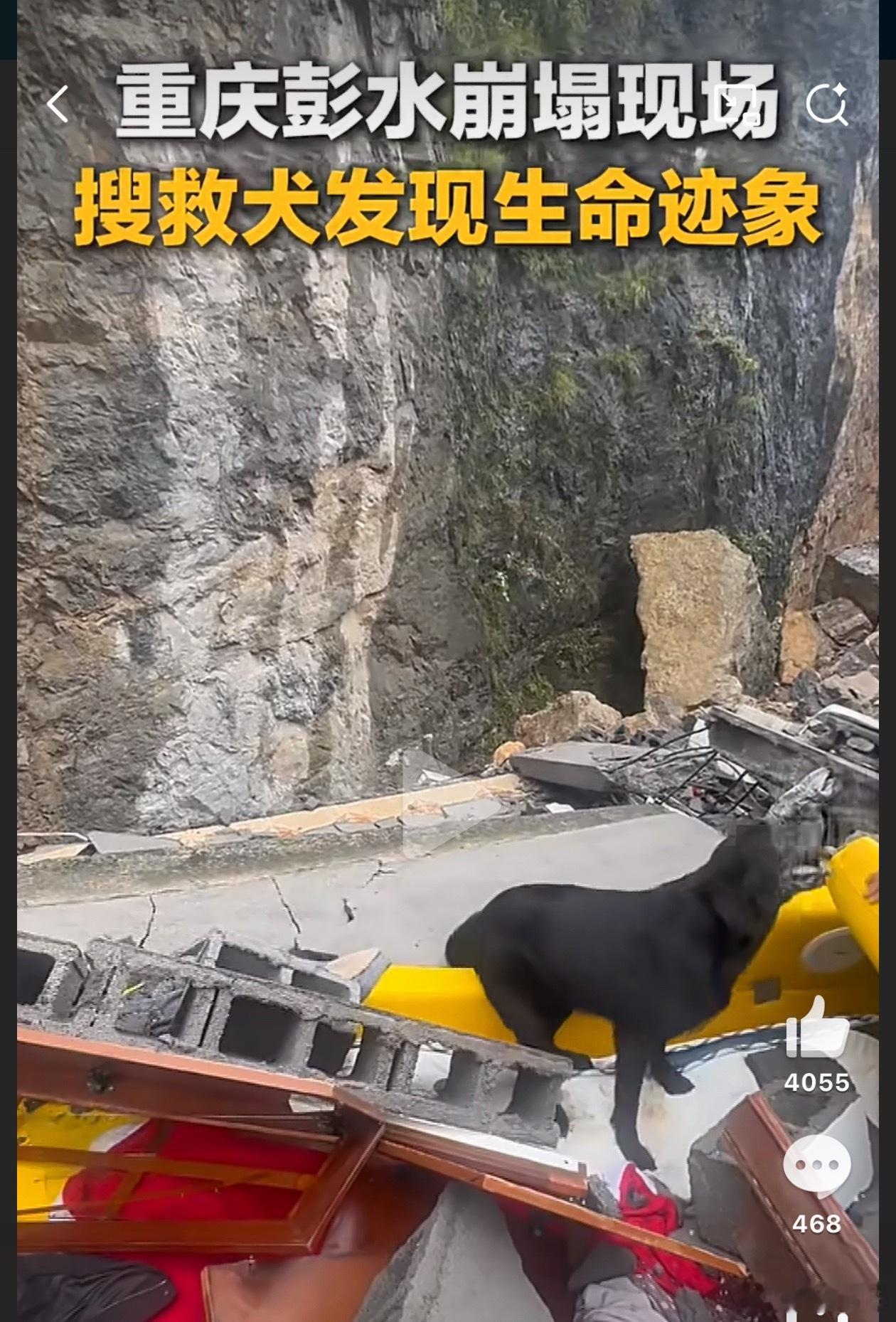重庆山体崩塌现场发现生命迹象搜救犬NB！希望所有人都无大碍！ 