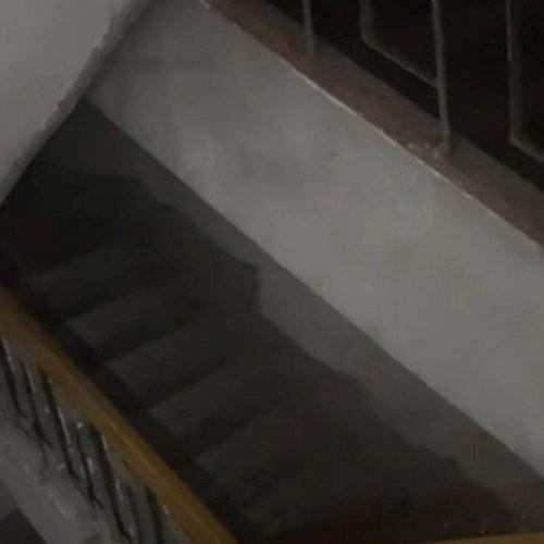 襄阳女子走楼梯吓破胆！反向折叠交错排布，原是消防特种梯
 
湖北襄阳谭女士下班回