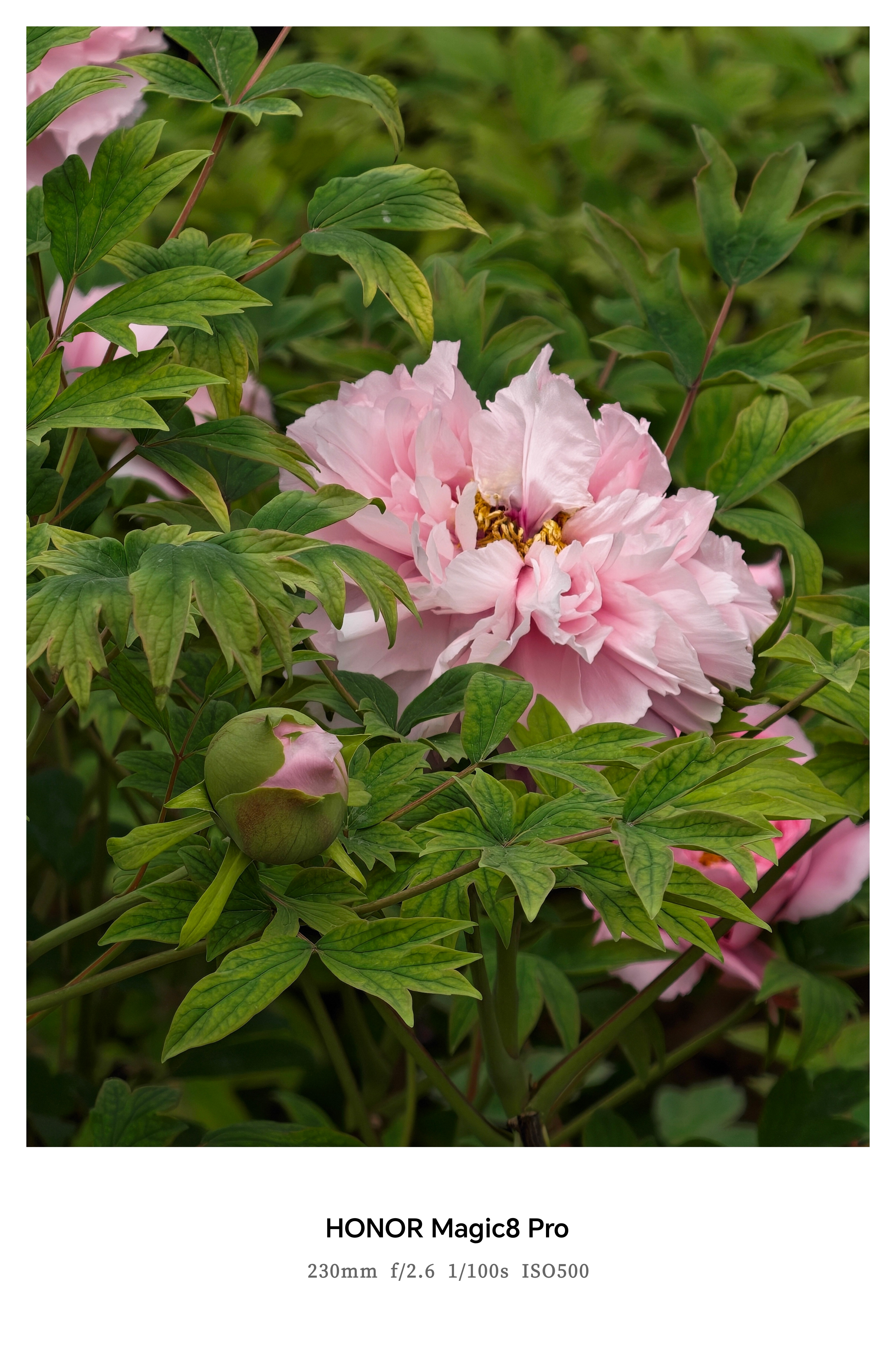 谁懂这次换手机的意义 ✨谁懂啊！新手机拍文旅风景太绝了，0滤镜原色还原所有美貌，