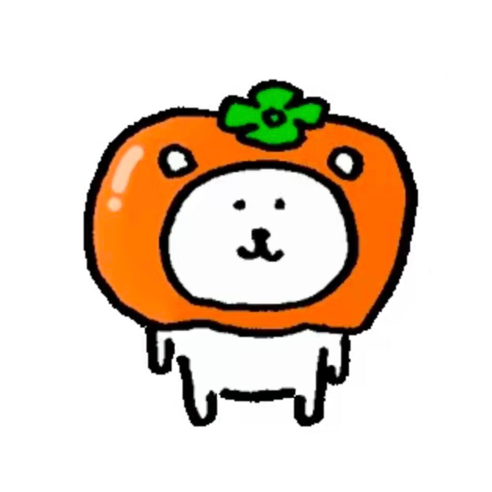 可食用自嘲熊 