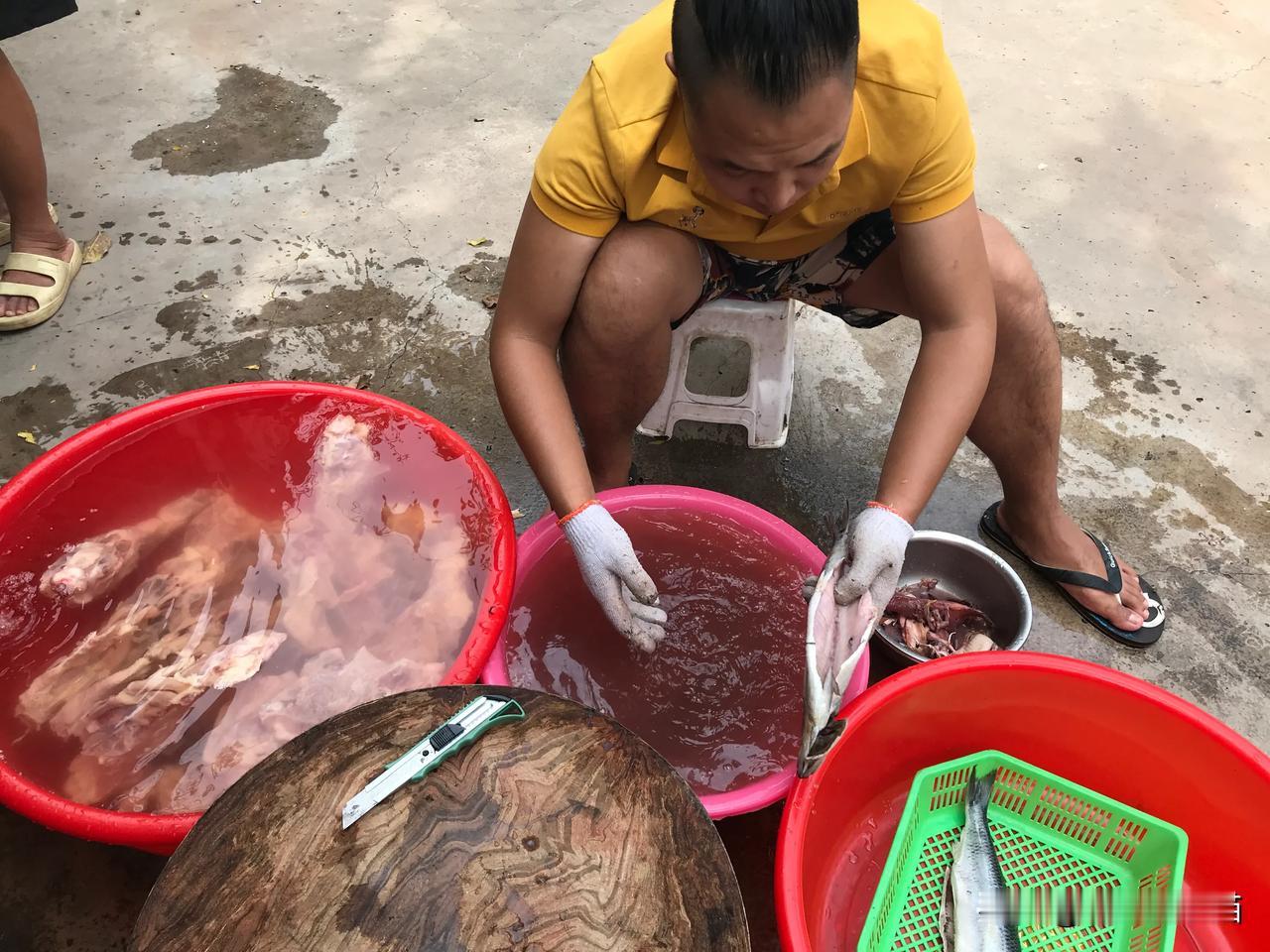 上午带的鱼居然全部卖完了，6条鱼。17只鸡架卖了13只。收入不到160。现在在准