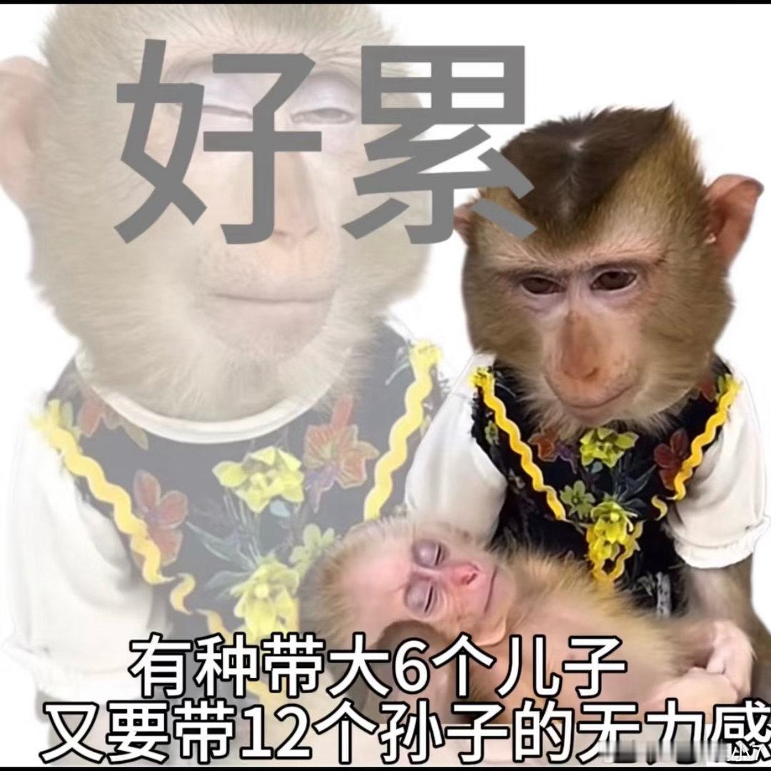 我就是那种早上刚醒，整个人还没开机，完全不想说话的状态。但跟爸妈住一起就是，从我