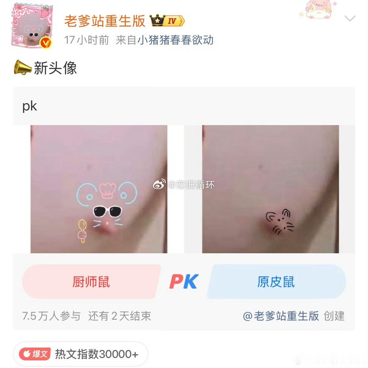 老爹站 头像流量有了，热度有了，就是不知道猪咪到底是谁家的。