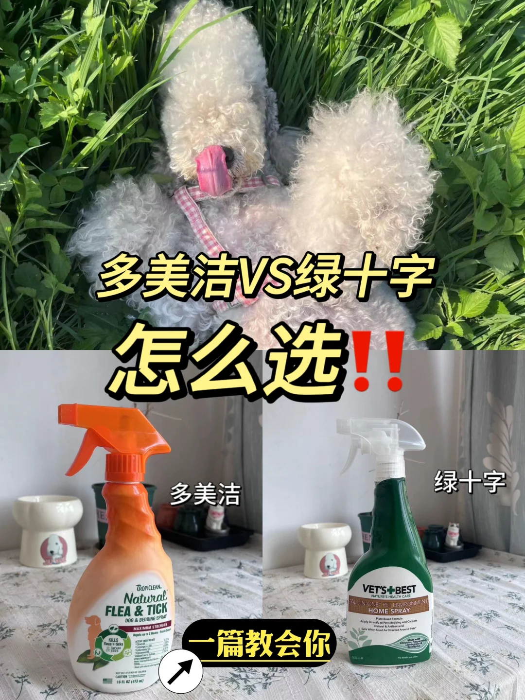 户外小狗必备好物！让小狗无惧草地