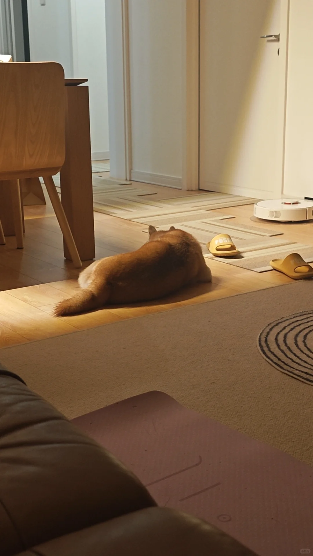 这是个什么形状的