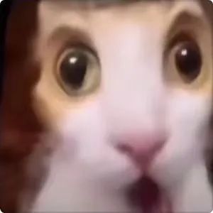 不好用的表情包我不发 