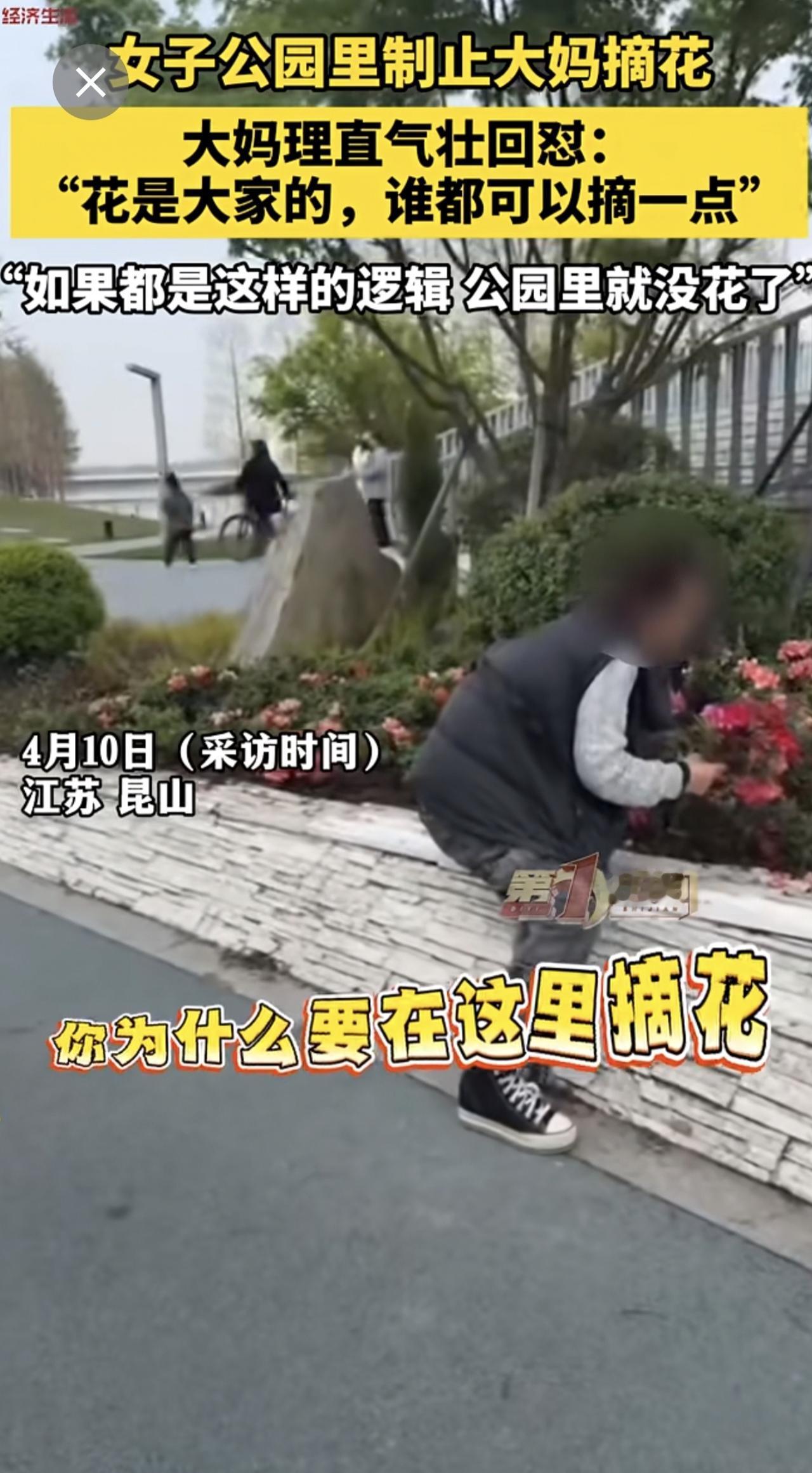 女子公园里制止大妈摘花，大妈理直气壮回怼：“花是大家的，谁都可以摘一点”。