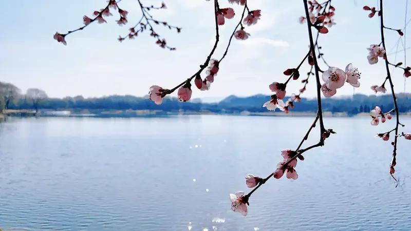 上联：冬去山明水秀，下联：请你来春来水暖花开