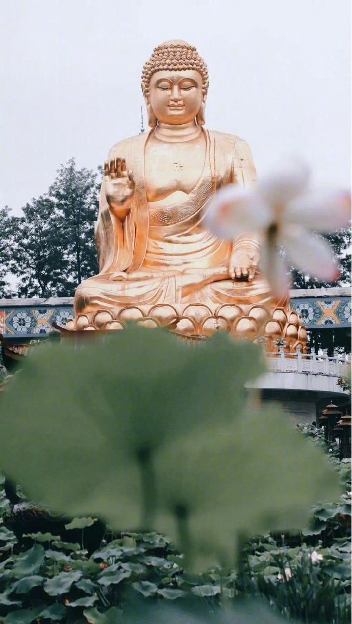 转走，好运福气向你奔来，善财善宝滚滚而来！ 