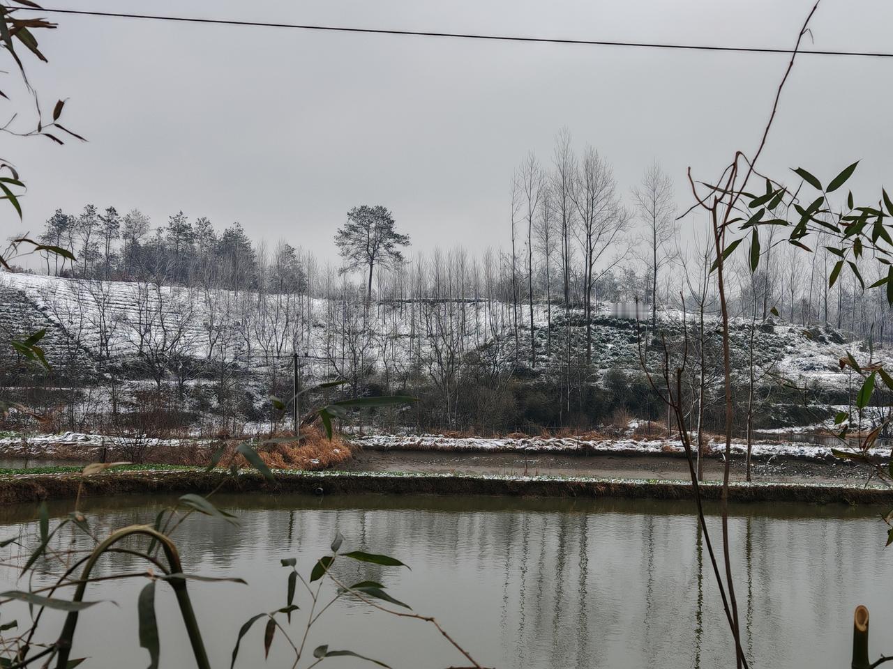腊月二十七，白天温度二十多度，腊月二十八白天还十六七度，这哪有过年的氛围啊？
今