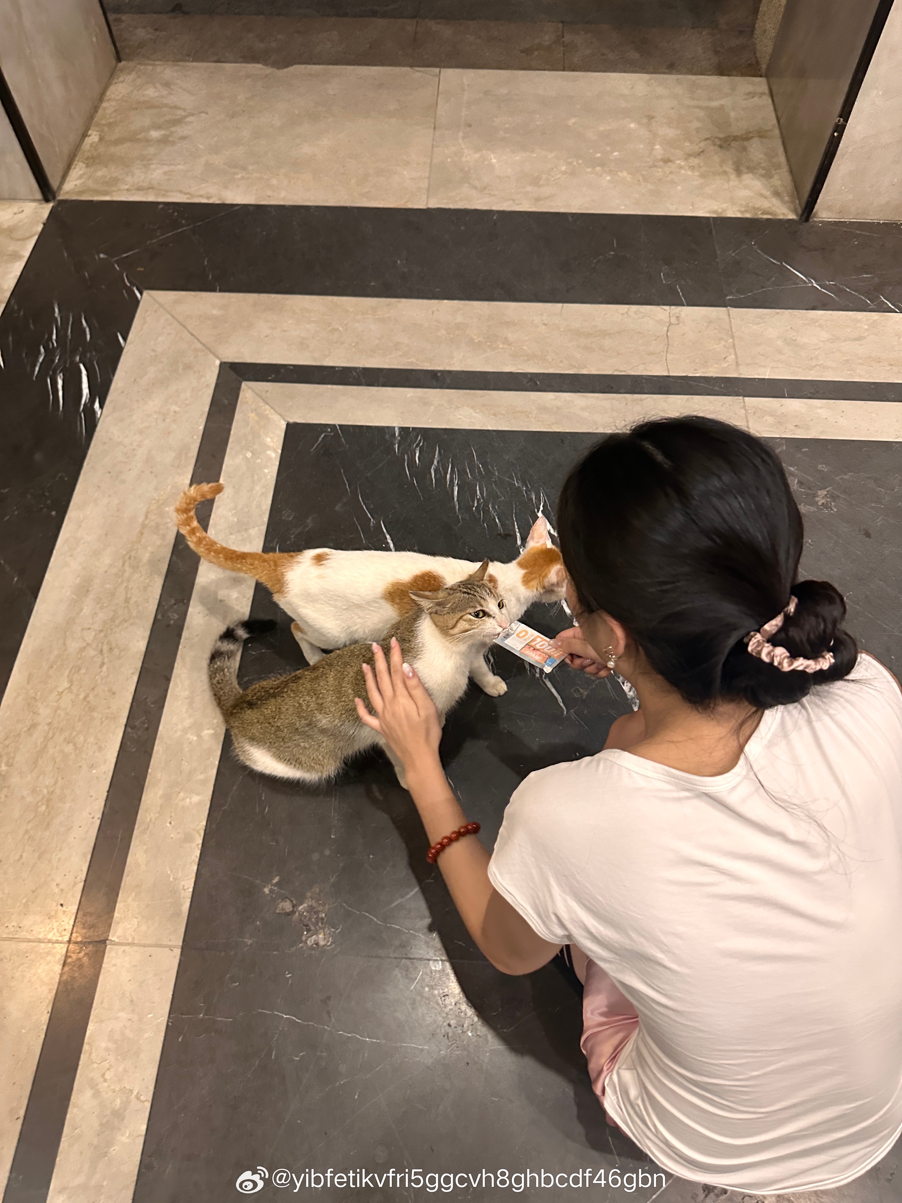 我的妈呀！ 
