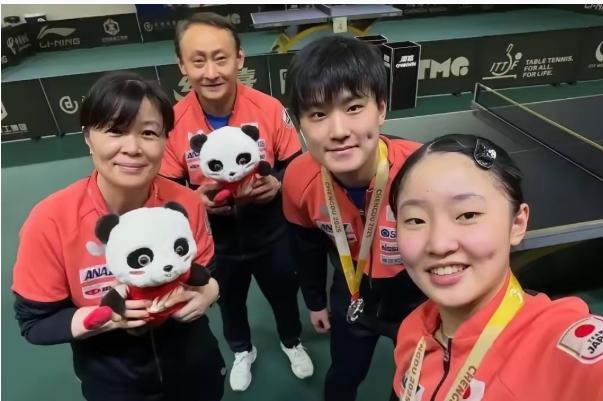 这下张本宇可真是彻底乐开花了！横滨冠军赛他儿子张本智和、女儿张本美和兄妹俩全都打
