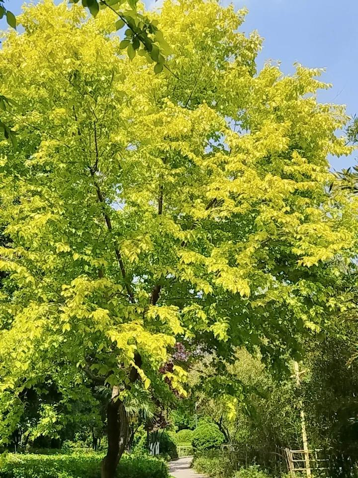 公园随手拍瞬间