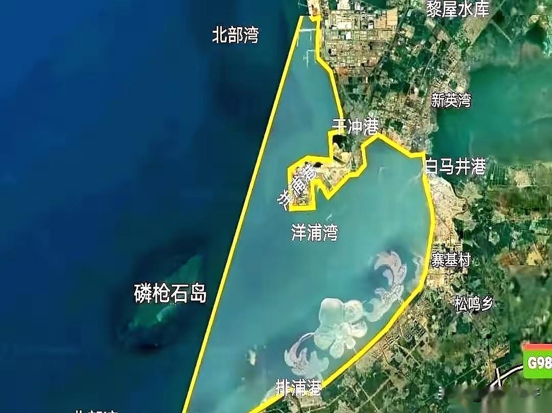 说真的，洋浦港这步棋，看得我后背发凉。

五六年前，几百亿几百亿地往里砸，几十条