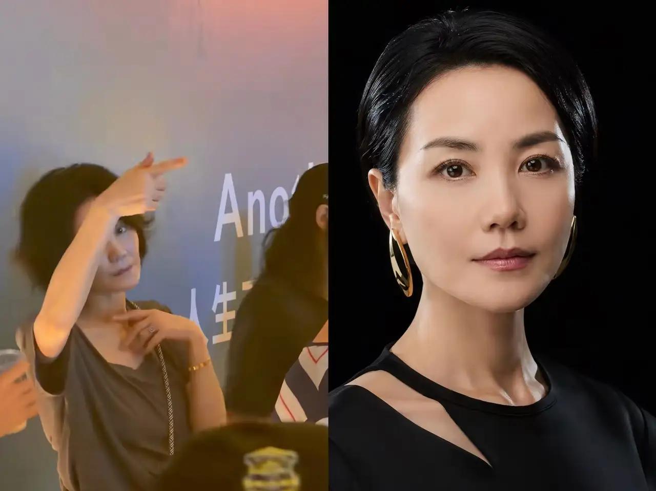 我严重怀疑，王菲这一生最大的烦恼，不是李嫣，也不是窦靖童，而是自己“太红了”
 