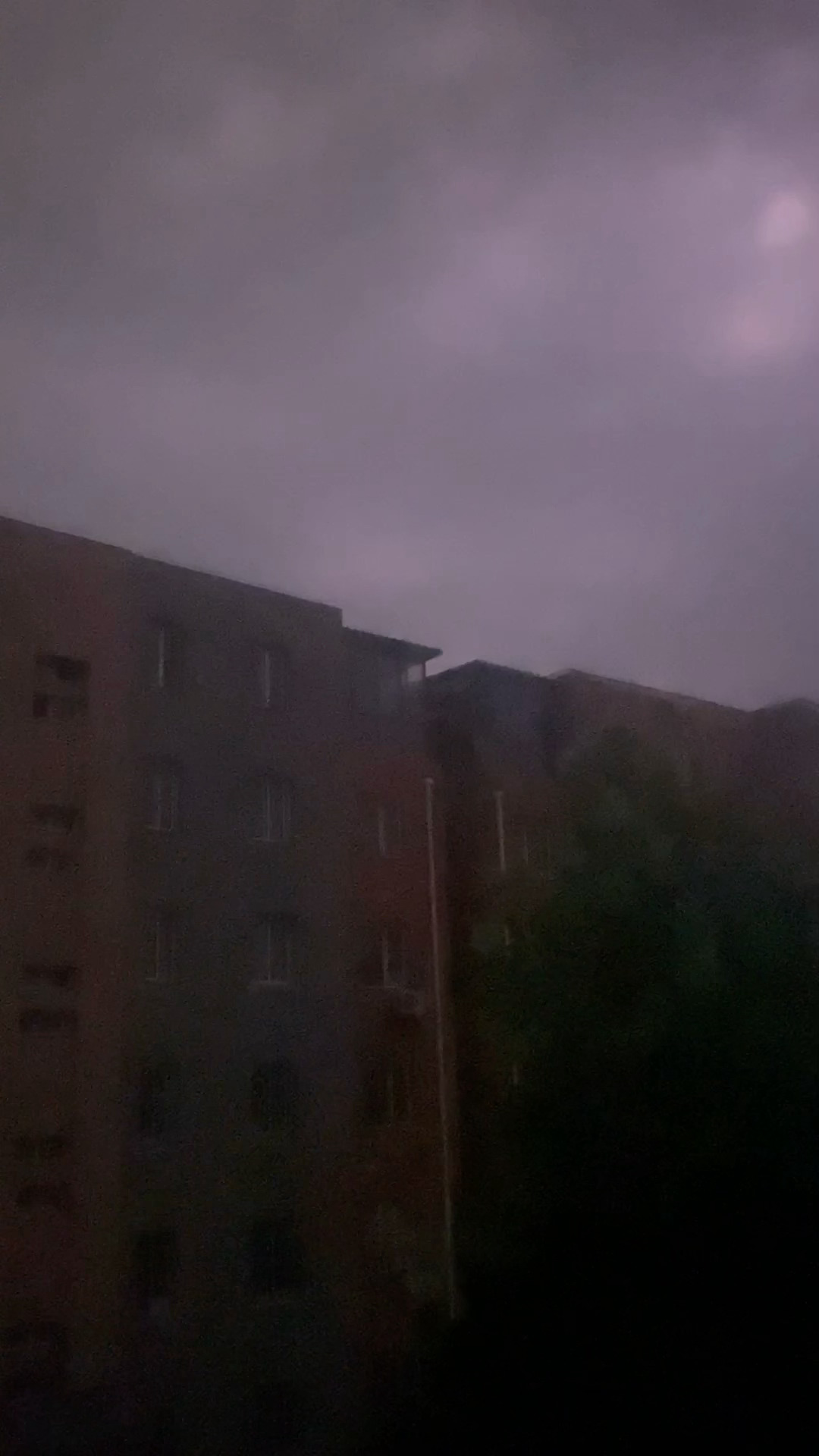 停电了 同事说树都刮断了😨 