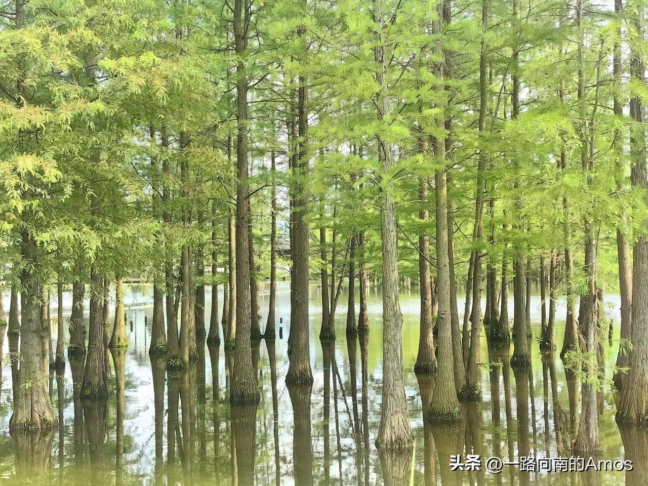 今天和朋友聚会，聊到身边不少朋友遭遇被动失业，我本人的情况也是如此，上个月被动失