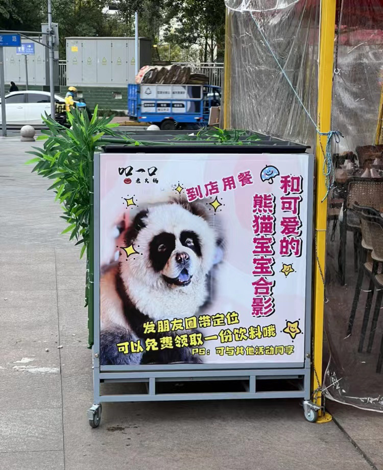 这熊猫怎么长得狗模狗样的 ​​​
