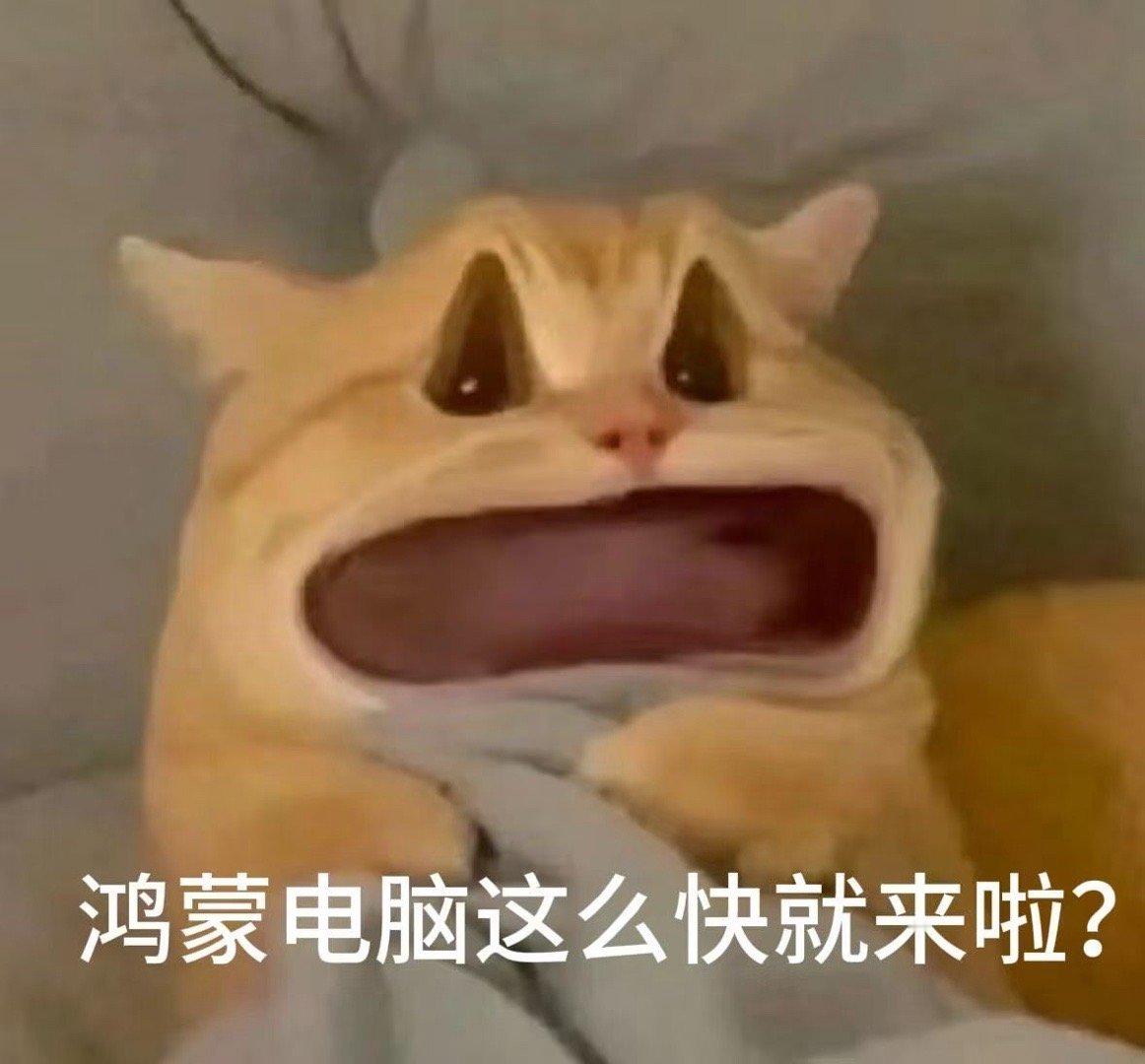 咱就说网上冲浪是有好处的吧，一不小心就刷到了鸿蒙电脑发布了！算是亲眼见证了华为终
