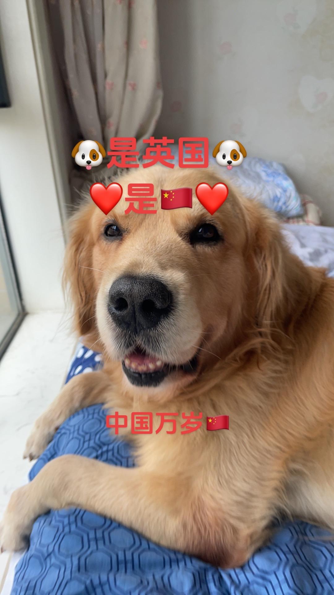 中国万岁，正义必胜！