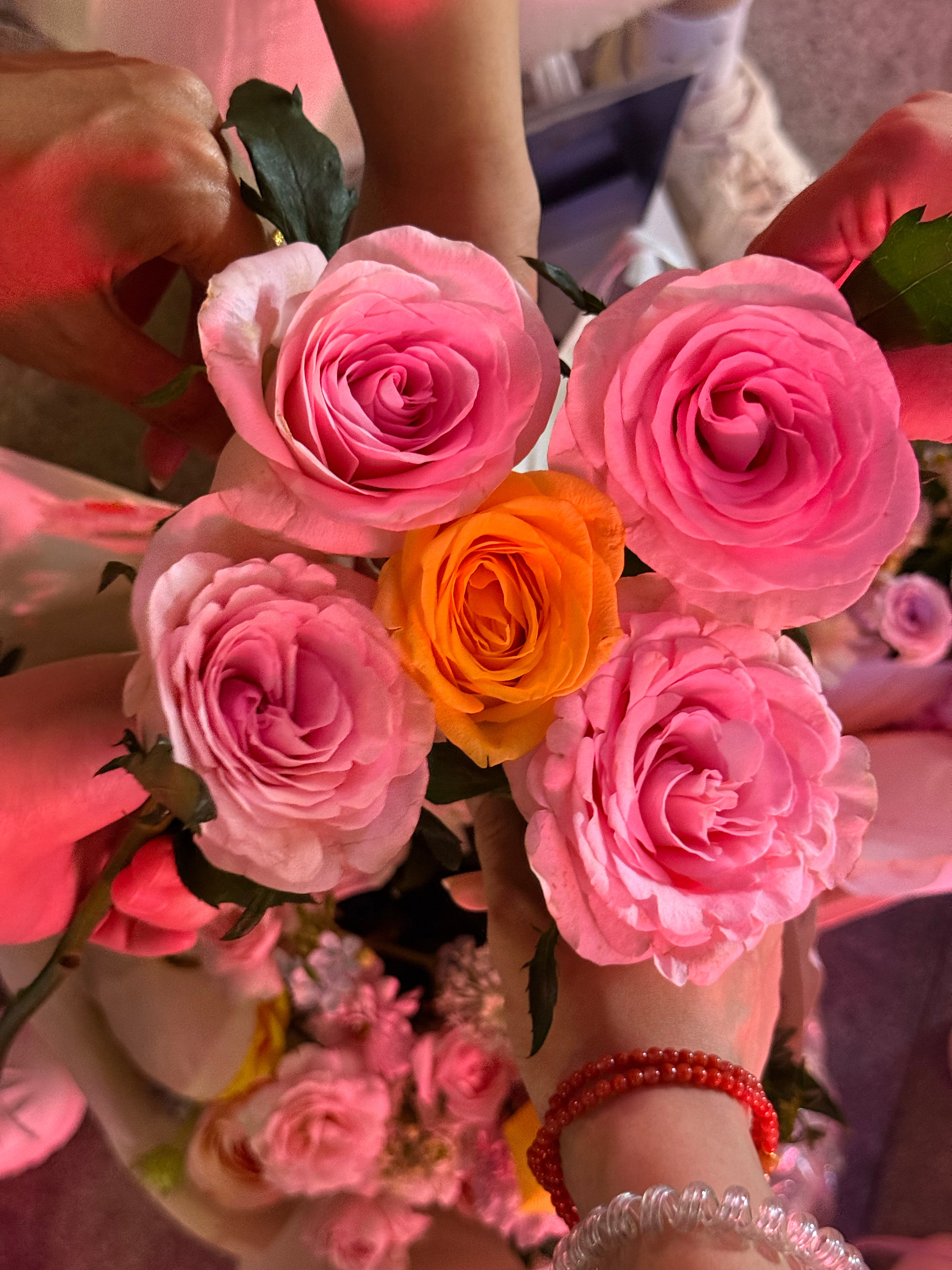 💐  专栏 · 山茶日记