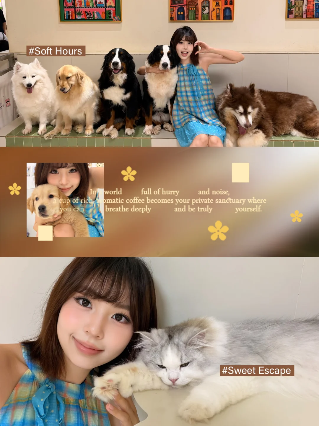 暑假又来抱抱小狗🐶咯~૮ ⦁ ᴥ ⦁ ა