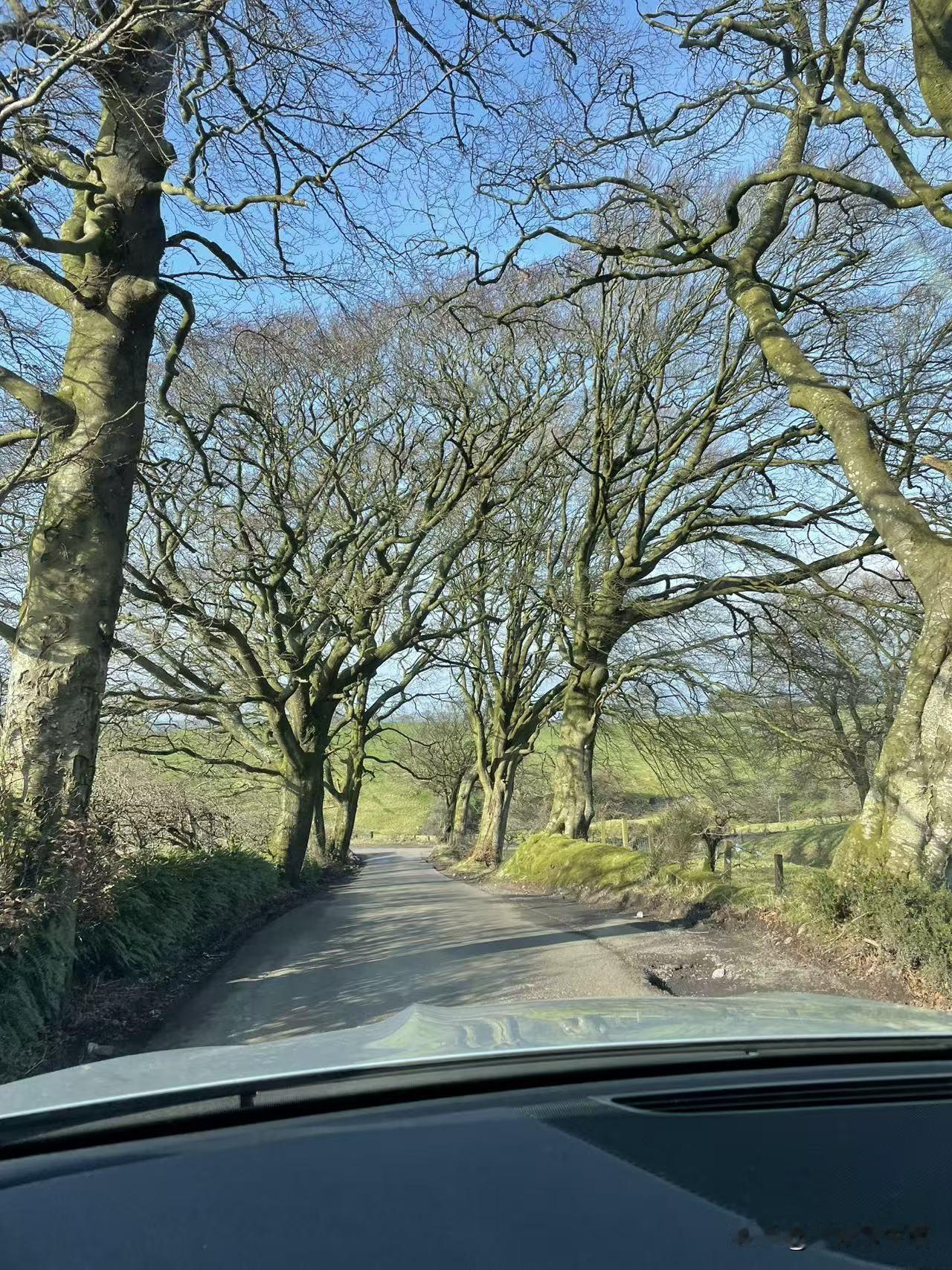 ：春风拂绿柳。