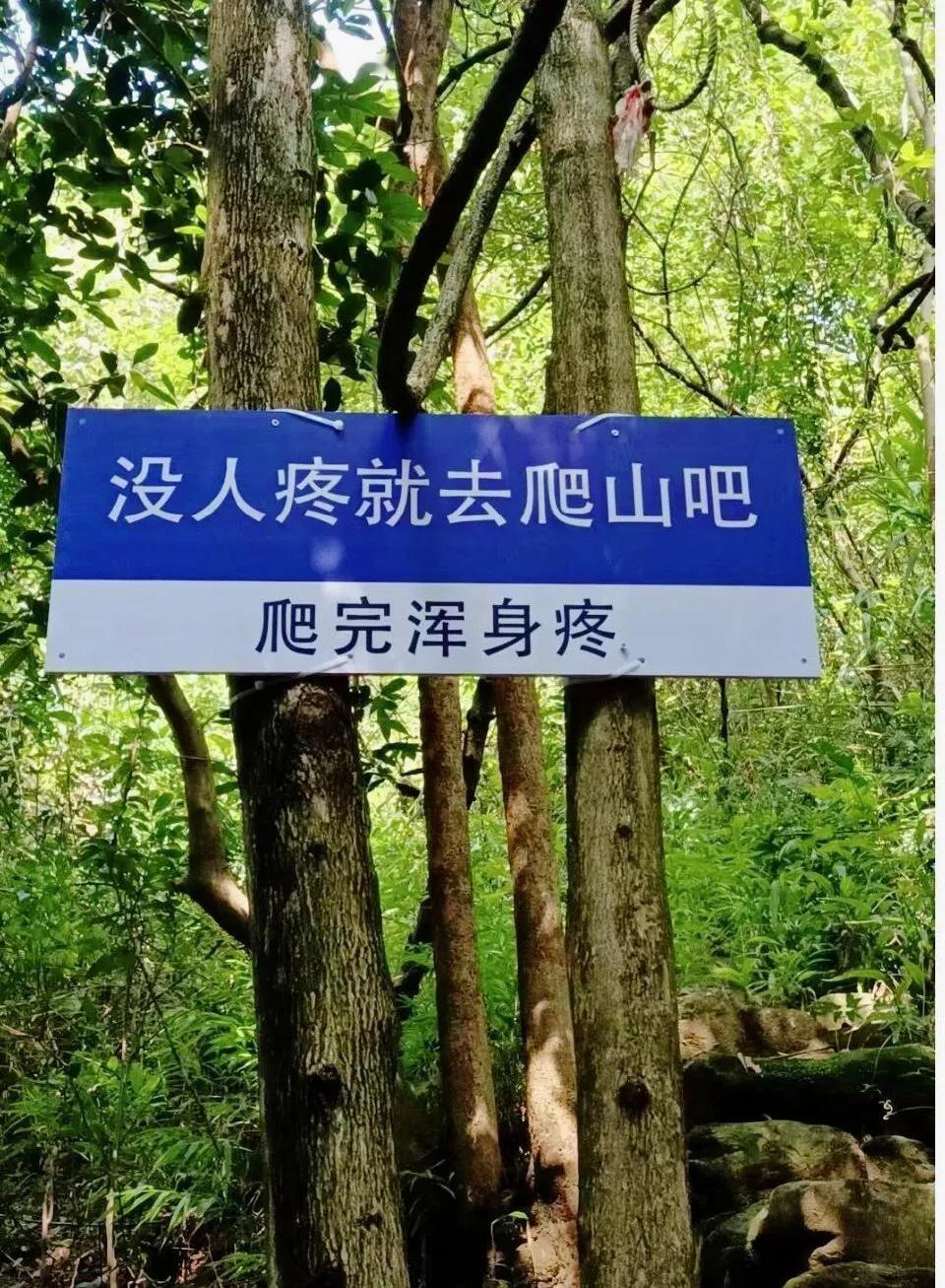 当一个人真正释怀了，他便不再纠结于和任何人的情感。

热烈也罢，平淡也罢，他从不