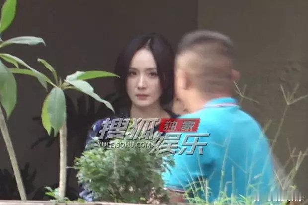 杨幂艺术区工作路透好美吧 ​​​