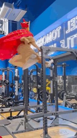 猴子：我永远忘不了那一天，师傅一拳毁了五指山，把我从废墟里提留出来，问我说，你是