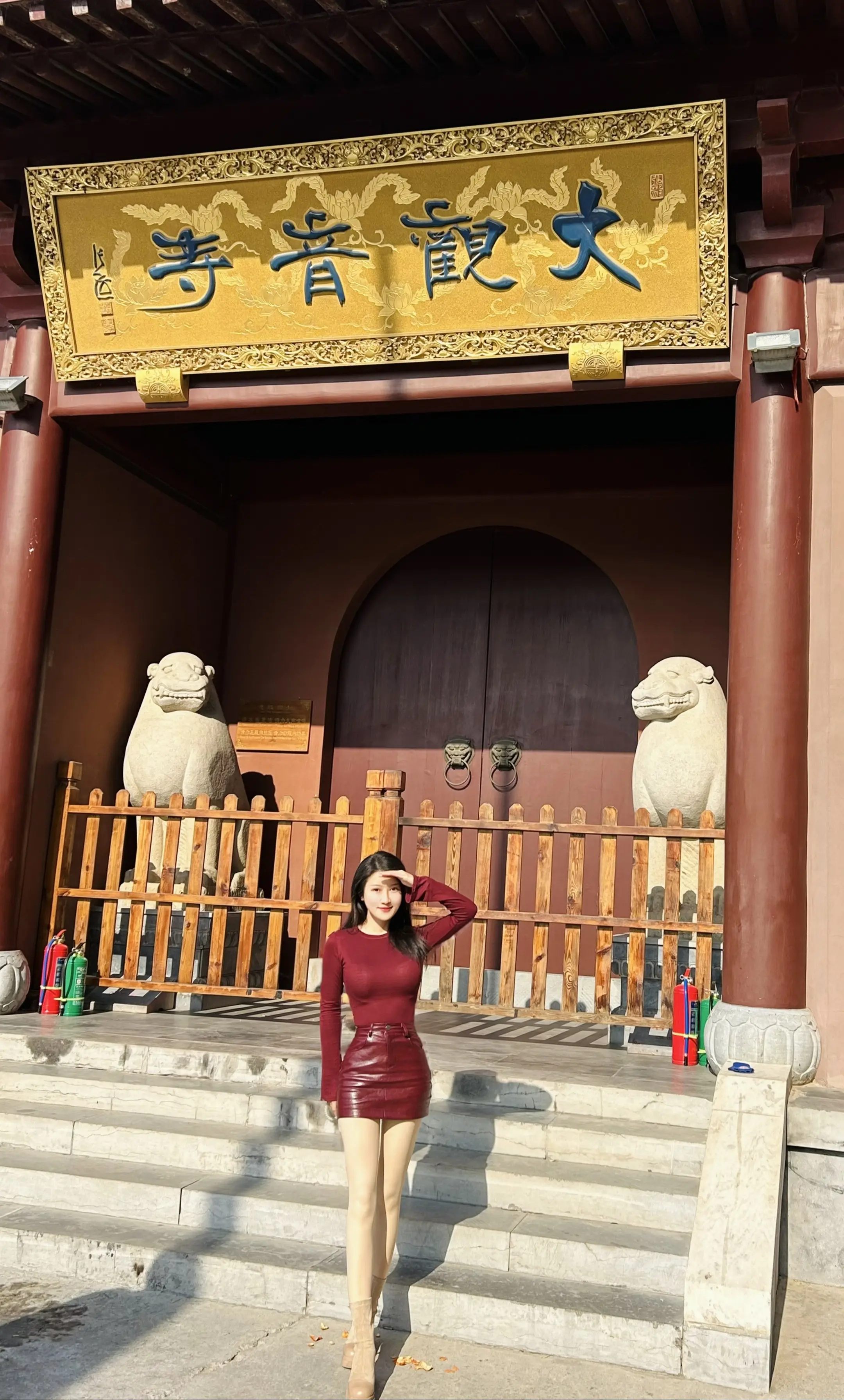 抬头见喜 新年快乐