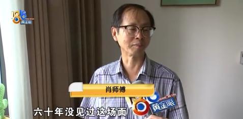 “我活了60岁，没见过这样的怪事！”9月27日报道，浙江杭州，大爷煮了一锅饭没吃
