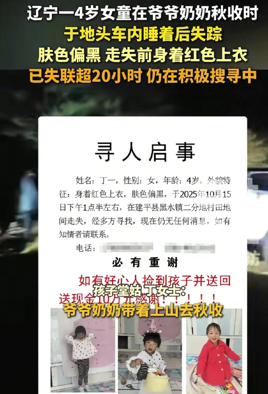 紧急寻人！辽宁一4岁女童在自己家地头失踪，家人悬赏10万寻找孩子，目前孩子已失联