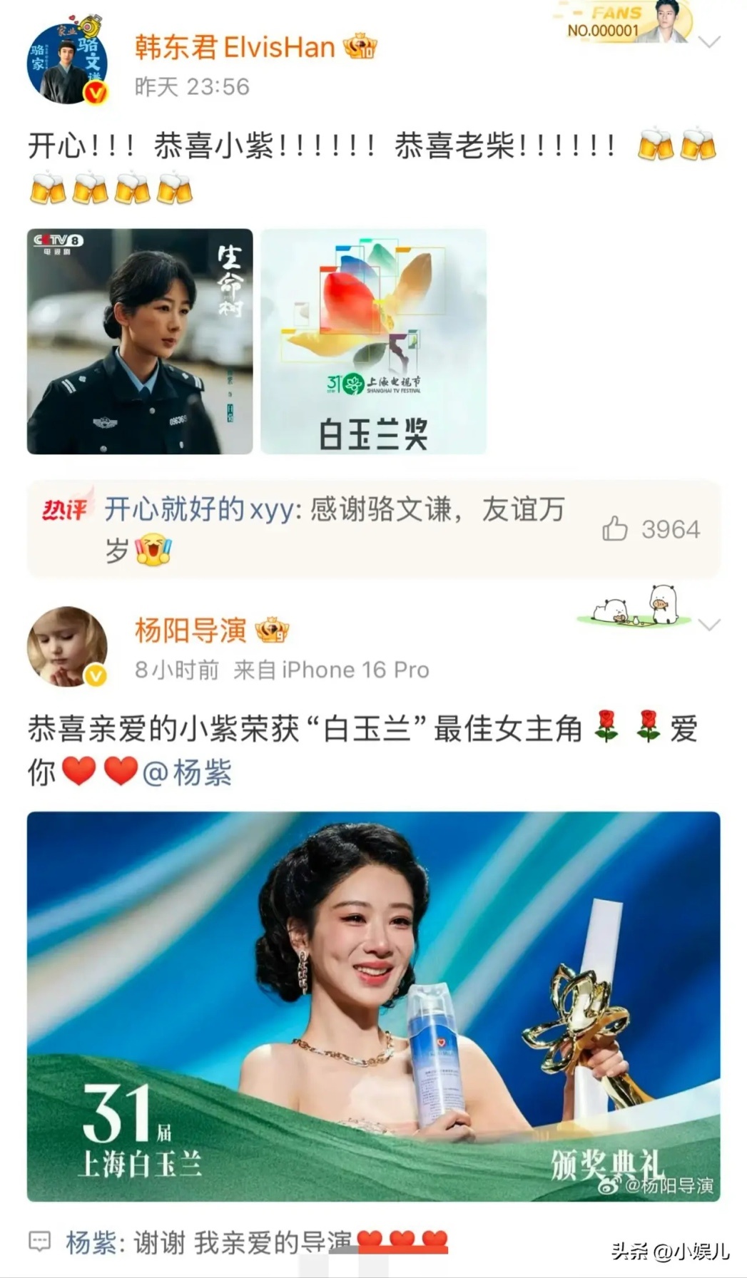 杨紫被质疑未使用原名纯属误解真的荒唐又可笑。当杨紫凭实打实的演技拿下白玉兰视后，