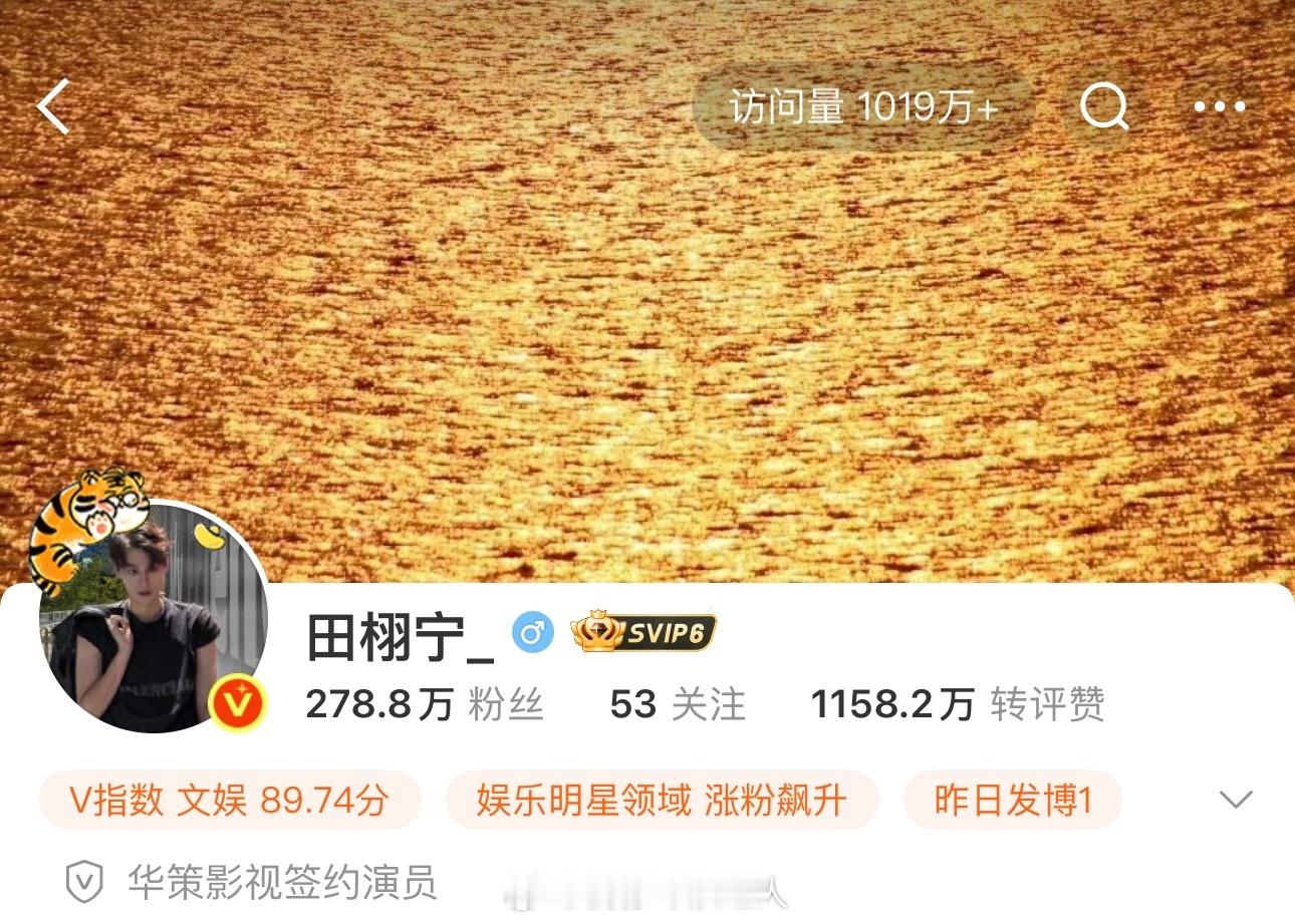 田栩宁 升咖田栩宁彻底飞升了🔥微博访问量1000万+微博7日新增粉丝106万+