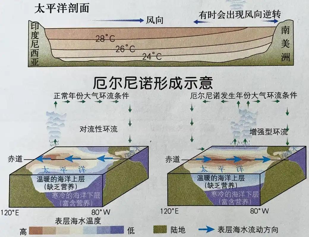冬天要格外当心！超强厄尔尼诺正在逼近，全球极端天气风险全面抬升 

今年冬天全世