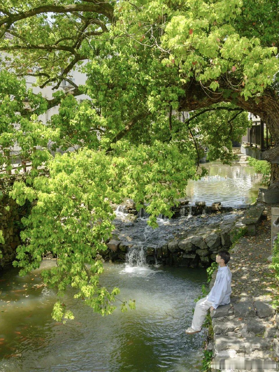 被央视点赞短剧让浦江古村藏不住了爆款短剧获央视点名盛赞，取景地浦江嵩溪古村彻底出