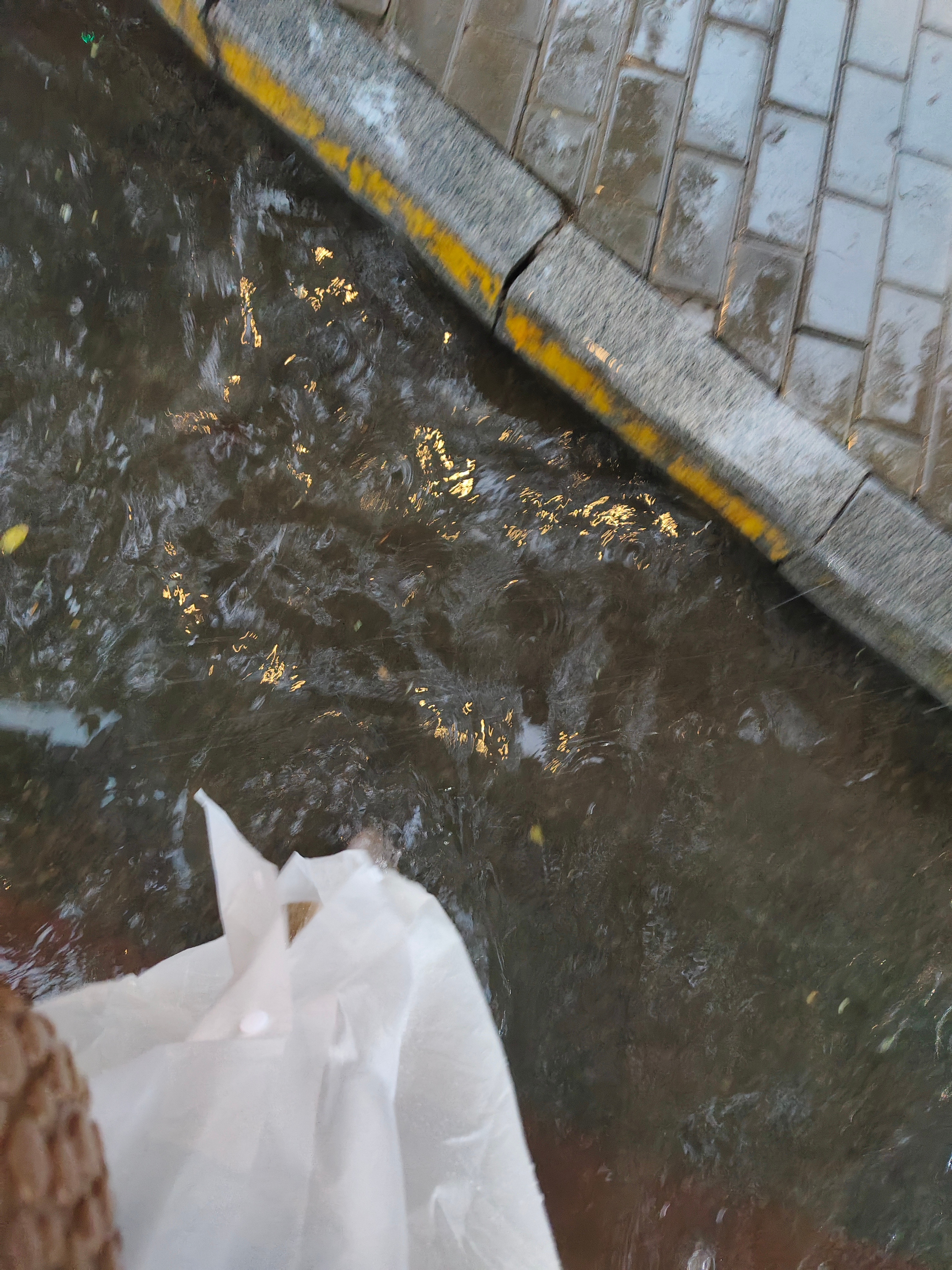 俺服了……就地铁口这边地势低 一出来（穿的百丽德训鞋怕水，果断脱了鞋）光着脚趟着