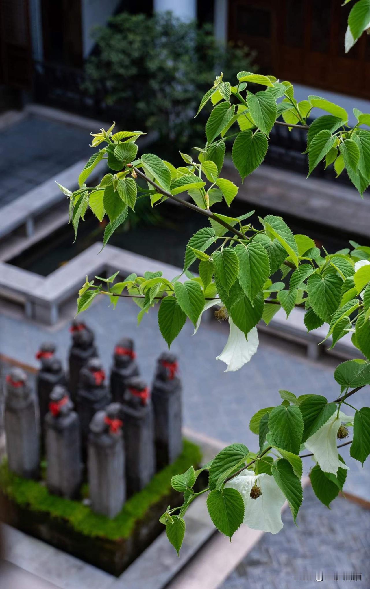 春日总藏着不期而遇的惊喜······
图文原创：江南忆庄园  王斌
春日生活打卡