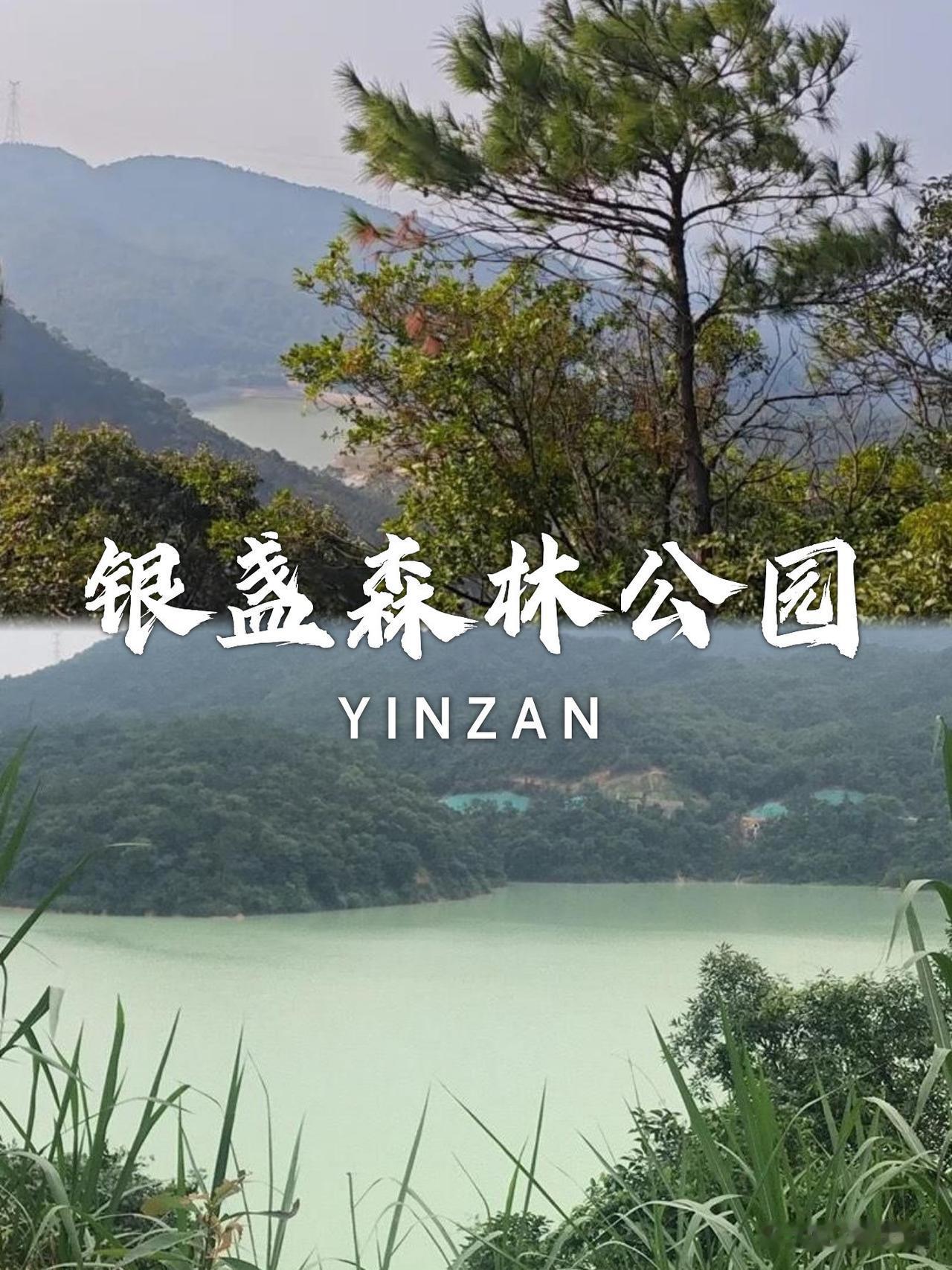 🌿清远银盏森林公园一日游保姆级攻略

刚从银盏森林公园回来，迫不及待想和大家分