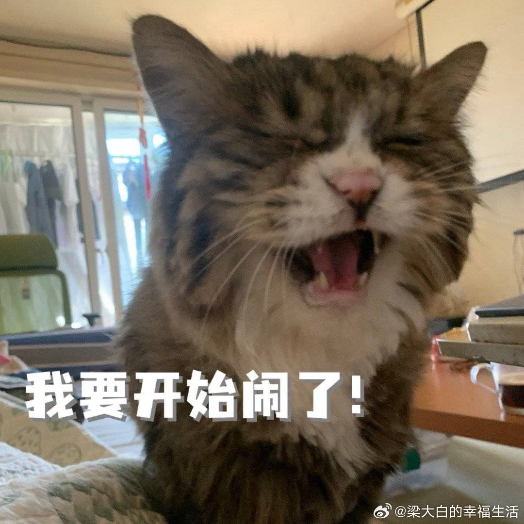 星星又是四点开始闹，把我们俩都喊醒了。赵老师说不能开饭，等到五点再起来给开。就看